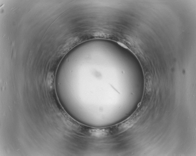 X0000088070273200705251410