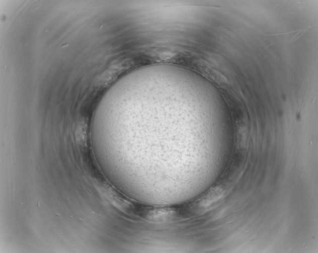 X0000088070274200705251410