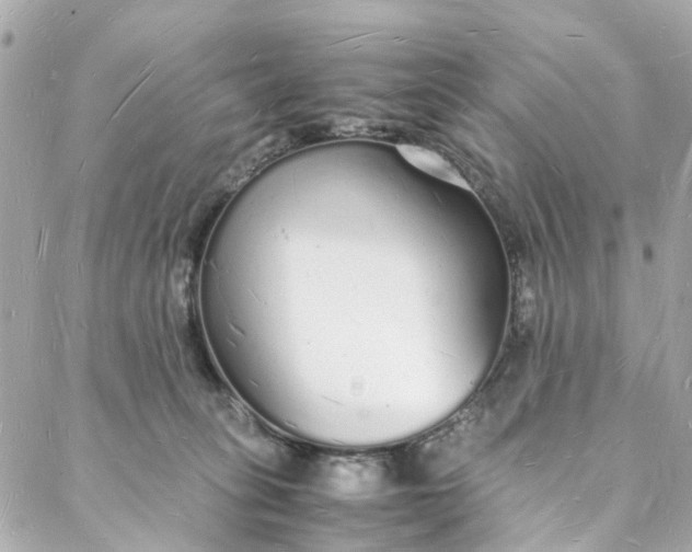 X0000088070275200705251410