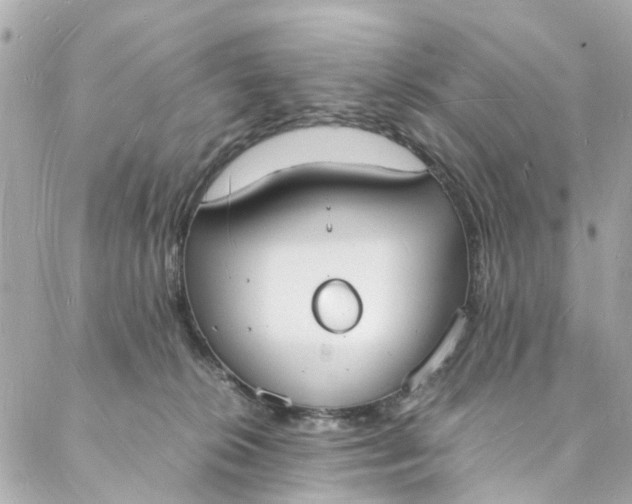 X0000088070276200705251410