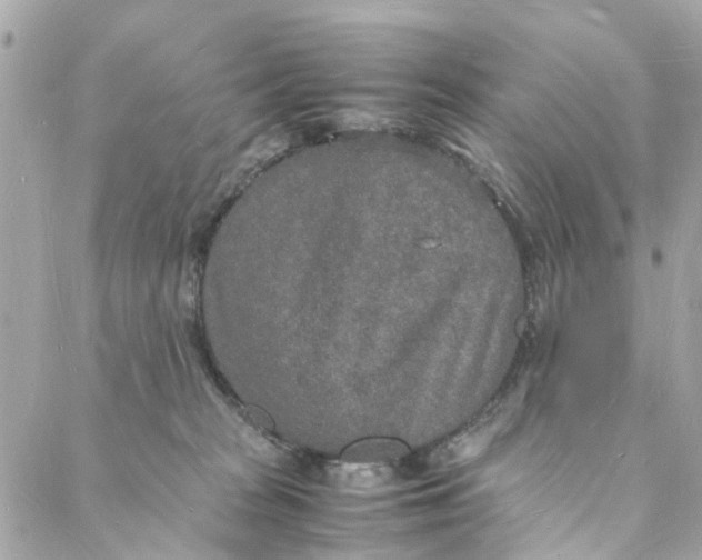 X0000088070277200705251410