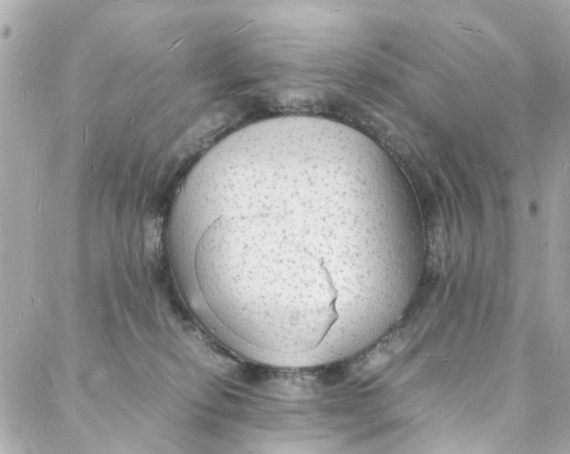 X0000088070278200705251410