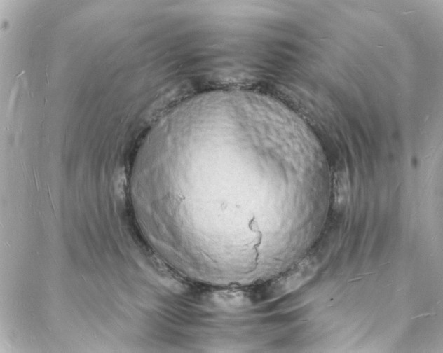 X0000088070279200705251410