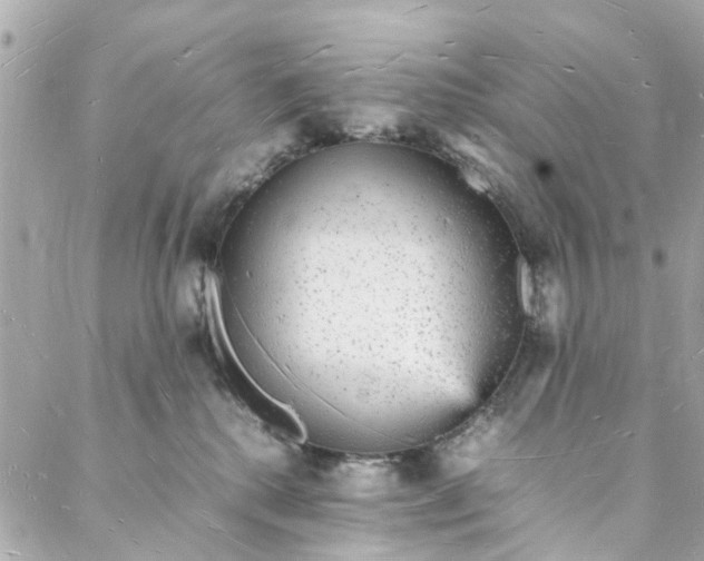 X0000088070280200705251410