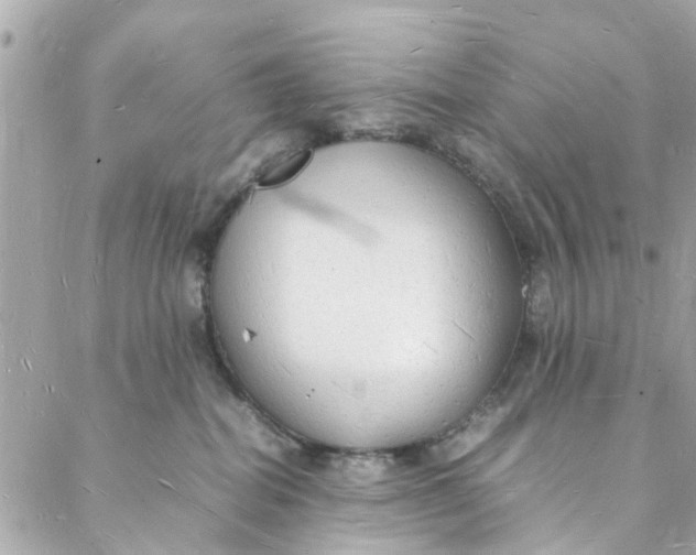 X0000088070282200705251410