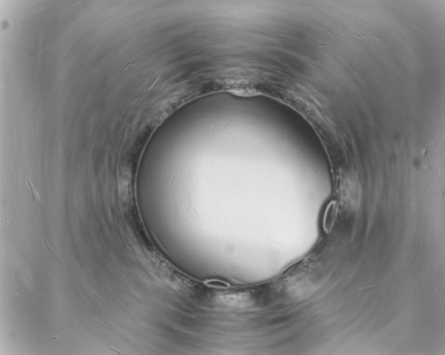 X0000088070283200705251410