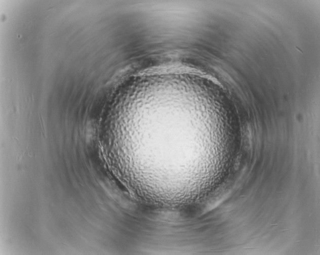 X0000088070284200705251410