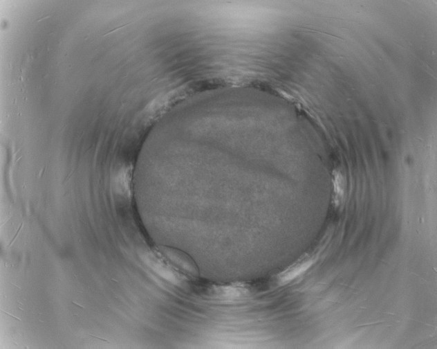 X0000088070286200705251410