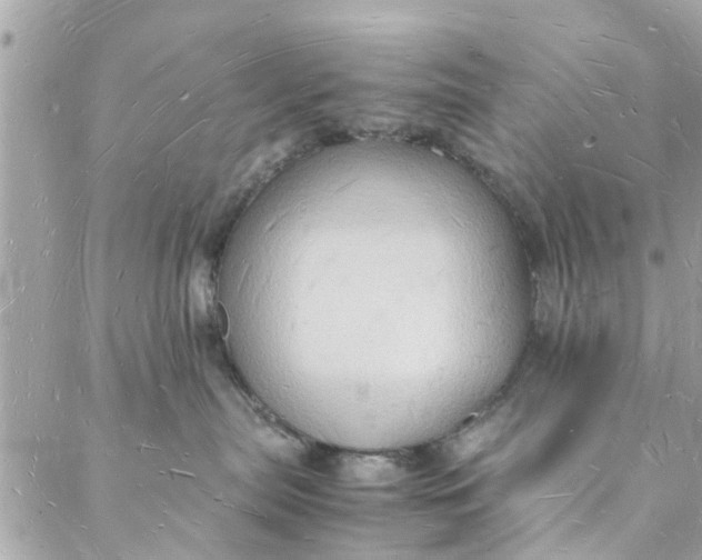 X0000088070287200705251410