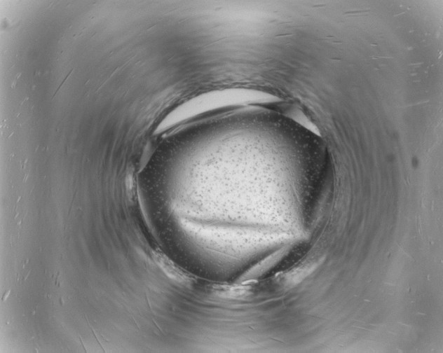 X0000088070288200705251410