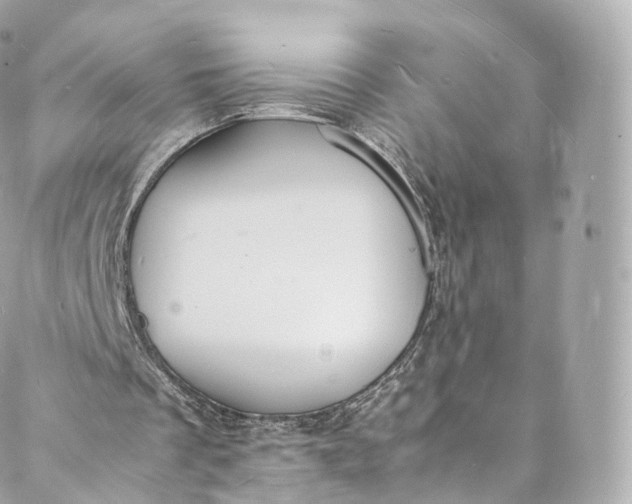 X0000088070289200705251409