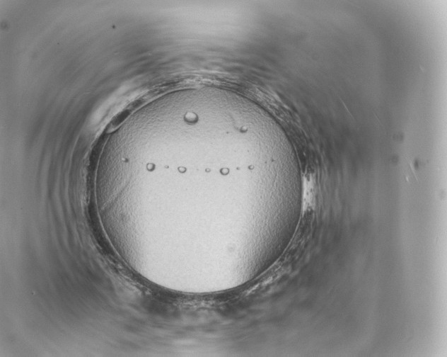 X0000088070291200705251409