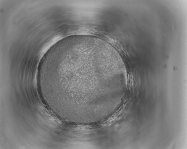 X0000088070292200705251409