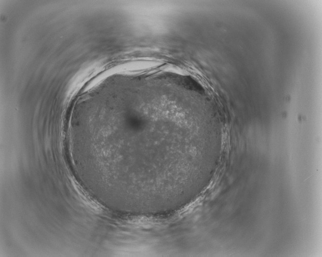 X0000088070293200705251409