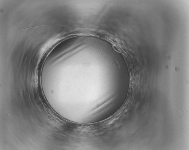 X0000088070294200705251409