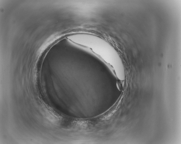 X0000088070295200705251409