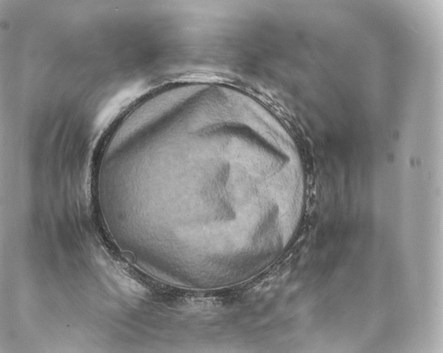 X0000088070296200705251409