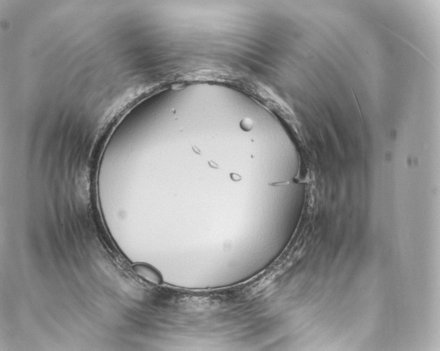 X0000088070298200705251409