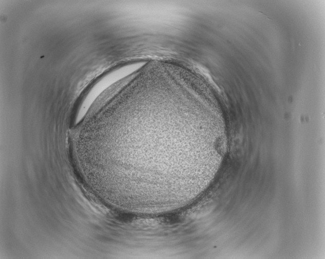 X0000088070299200705251409