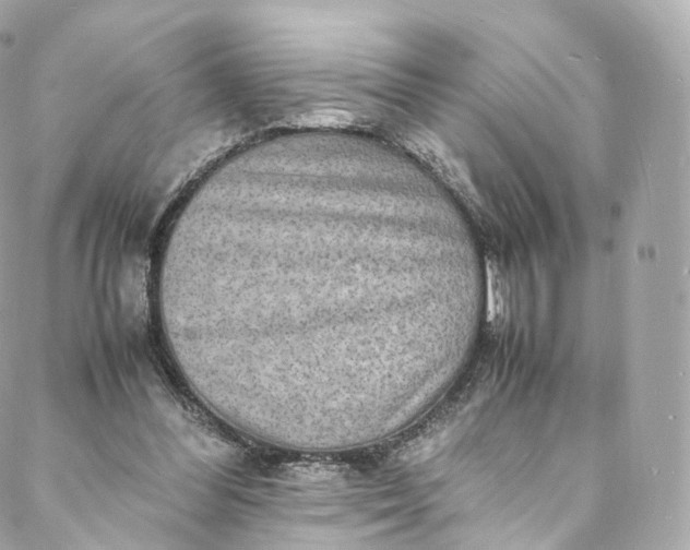 X0000088070300200705251409