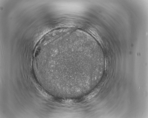 X0000088070301200705251409