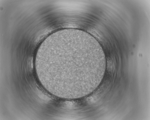 X0000088070302200705251409