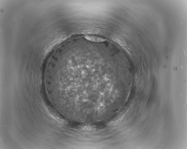 X0000088070303200705251409