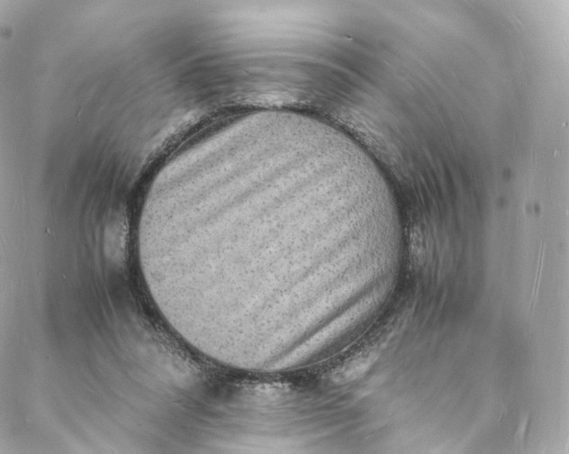 X0000088070304200705251409