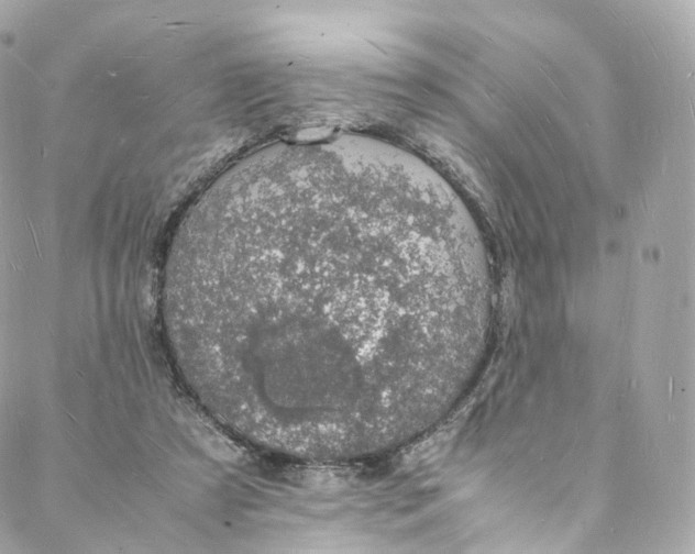 X0000088070305200705251409