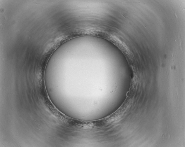 X0000088070306200705251409