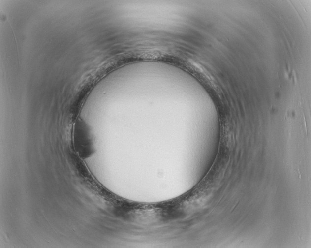 X0000088070307200705251409