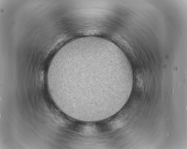 X0000088070308200705251409