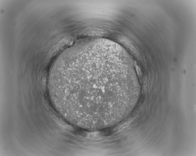 X0000088070309200705251409