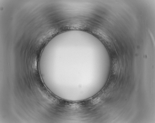 X0000088070310200705251409