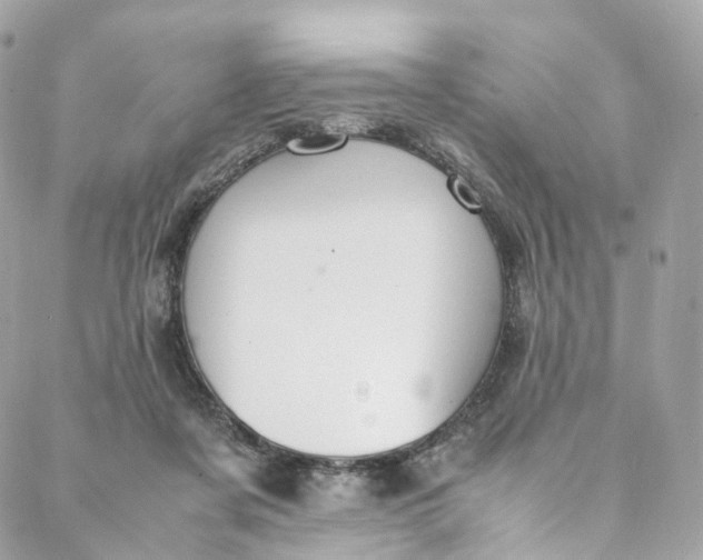 X0000088070311200705251409