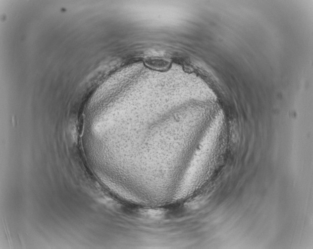 X0000088070313200705251409