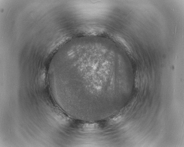 X0000088070314200705251409