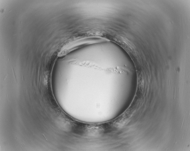 X0000088070315200705251409