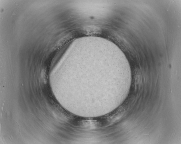 X0000088070316200705251409