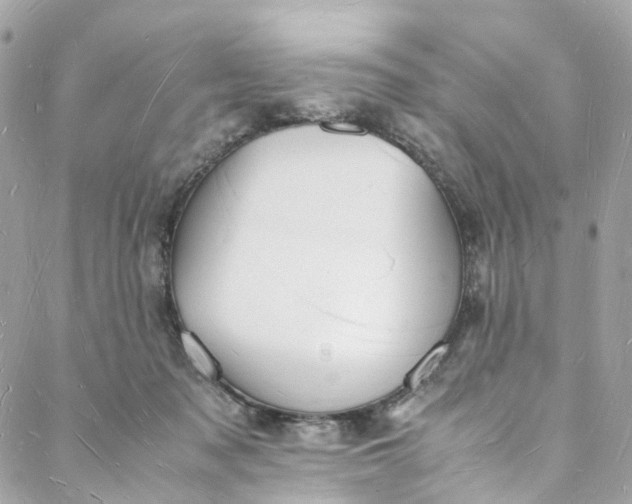 X0000088070317200705251409