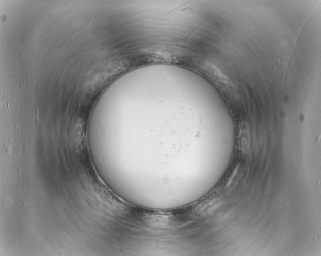 X0000088070318200705251409