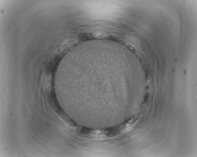 X0000088070319200705251409