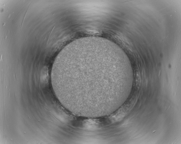 X0000088070320200705251409