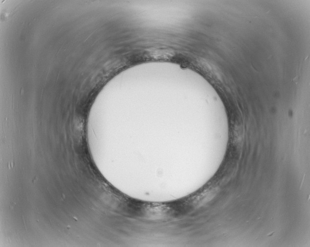 X0000088070321200705251408