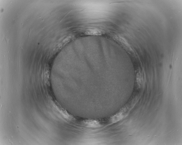 X0000088070322200705251408