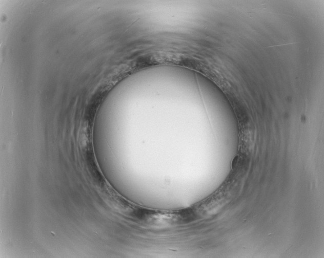 X0000088070323200705251408