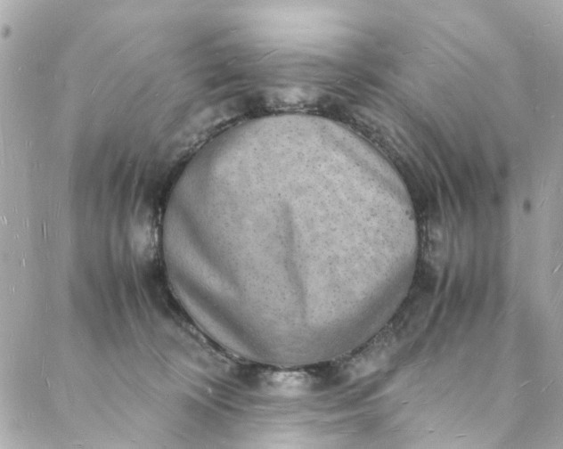 X0000088070324200705251408