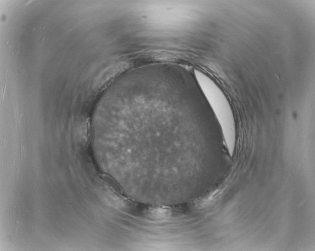 X0000088070325200705251408