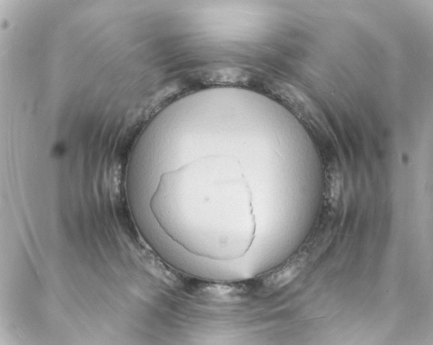 X0000088070326200705251408