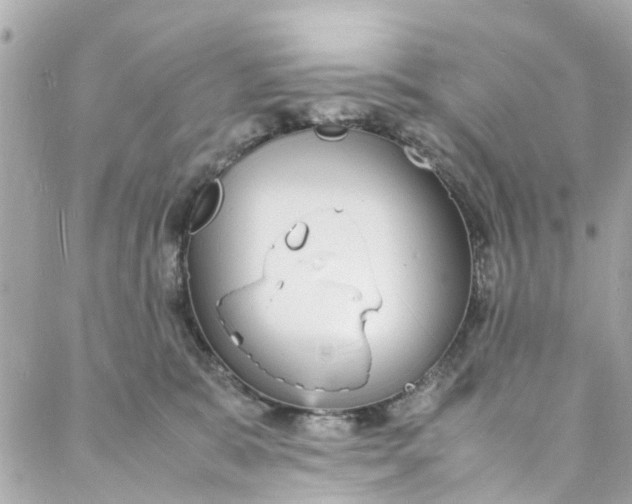 X0000088070327200705251408